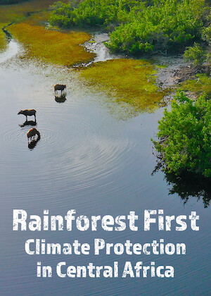 Rainforest First: Climate Protection in Central Africa